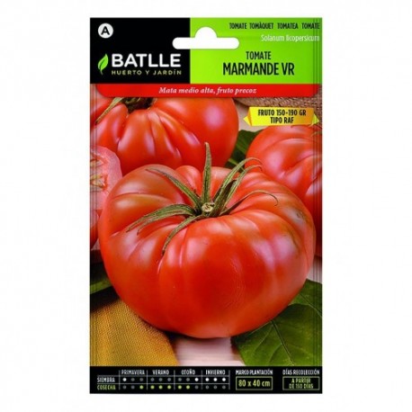 SEMILLA Tomate marmande vr