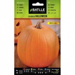 SEMILLA Calabaza Halloween