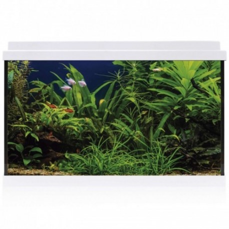 ACUARIO AQUALED 64l. BLANCO