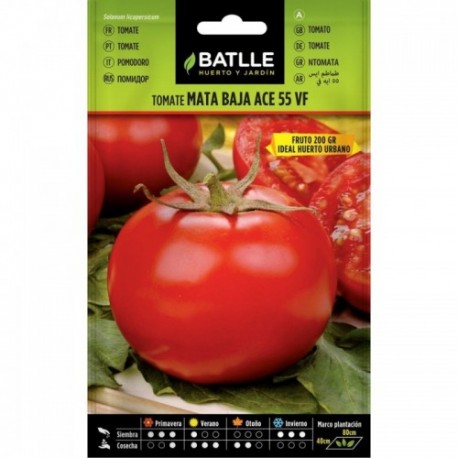 SEMILLA TOMATE MATA BAJA ACE 55 VH