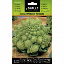 SEMILLA ROMANESCO NATALINO