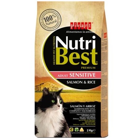 NUTRIBEST GATO SALMON 2KG