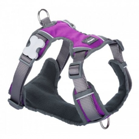 ARNES RED DINGO ANTI TIRONES XL MORADO