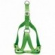 ARNES PREMIER DOG XS VERDE