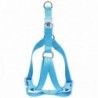 ARNES PREMIER DOG XS AZUL