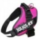 JULIUS K9 IDC T1 FUCSIA