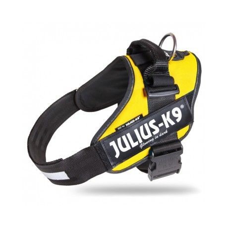 JULIUS K9 IDC T2 AMARILLO