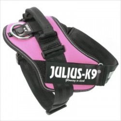 JULIUS K9 IDC T2 ROSA