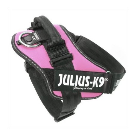 JULIUS K9 IDC T2 ROSA