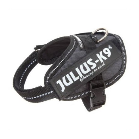 JULIUS K9 IDC TB1 NEGRO