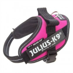 JULIUS K9 IDC TM FUCSIA