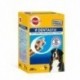 DENTASTIX MAXI MENSUAL (28u)